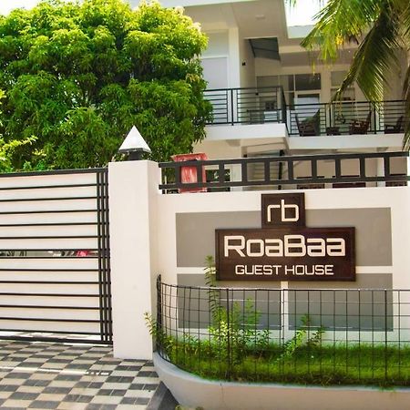 Roabaa Guesthouse باتيكالوا المظهر الخارجي الصورة
