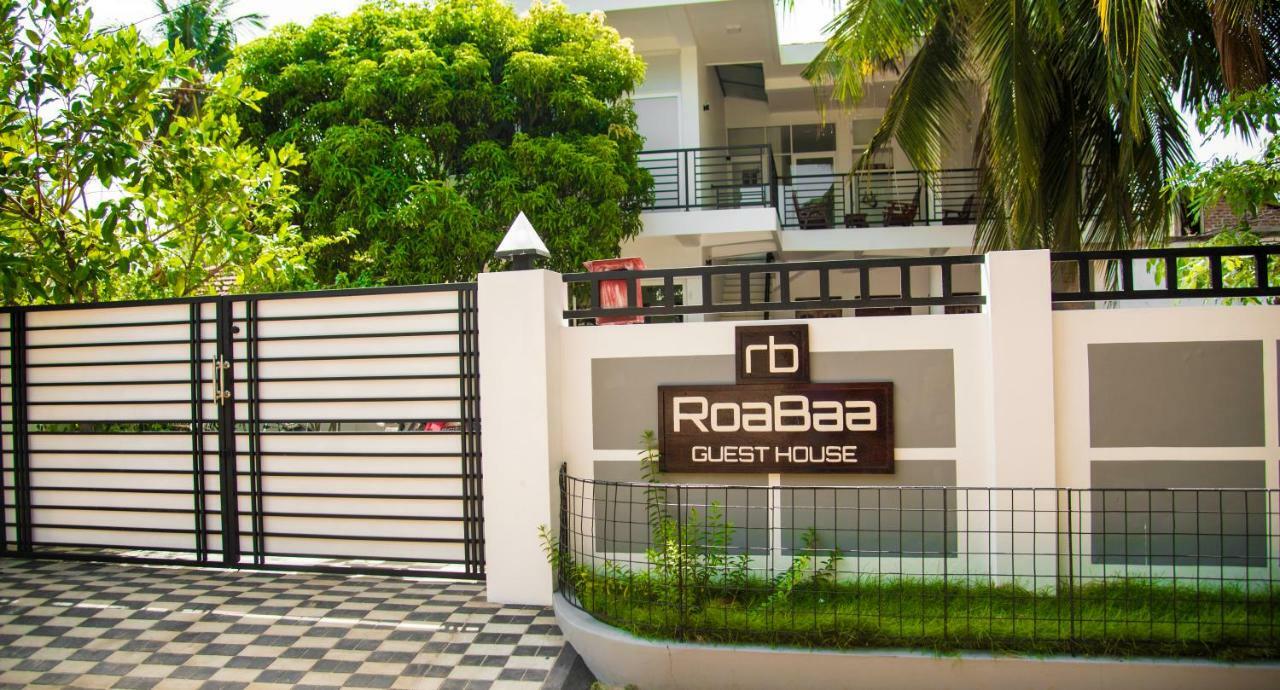 Roabaa Guesthouse باتيكالوا المظهر الخارجي الصورة